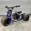 Pioneer flame mini trike/Pioneer flame mini trike for sale