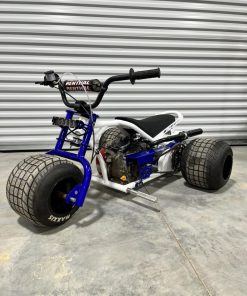 Pioneer flame mini trike/Pioneer flame mini trike for sale