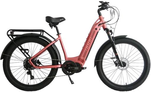 Custom ebike/Custom ebikes/Custom Mini trikes/Custom mini bike