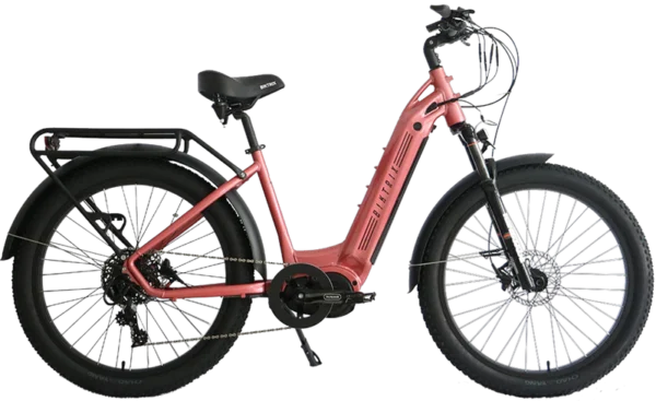 Custom ebike/Custom ebikes/Custom Mini trikes/Custom mini bike